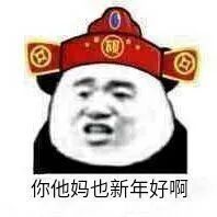 你他妈也新年好啊