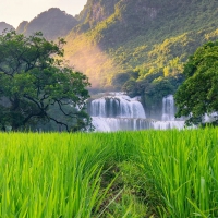 稻田 瀑布 唯美风景手机壁纸