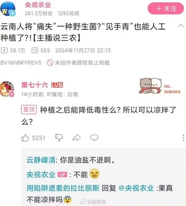 云南人跟野生菌的关系就像鱼儿和水