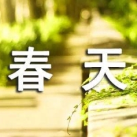 春天古诗《早春呈水部张十八员外》简介及赏析